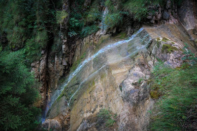 Scenic view of waterfall in forest