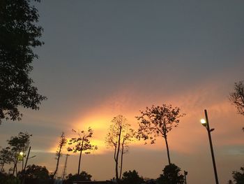 Low angle view of silhouette trees against sky during sunset