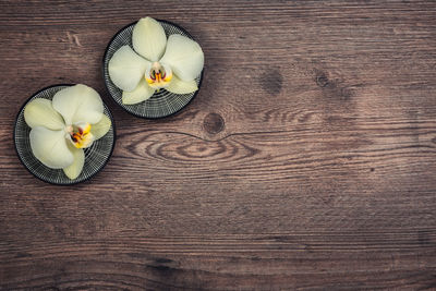 High angle view of white flower on table