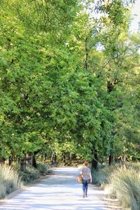 Woman walking on footpath amidst trees