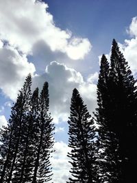 Low angle view of trees against sky