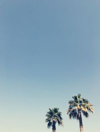 Low angle view of palm trees against clear blue sky