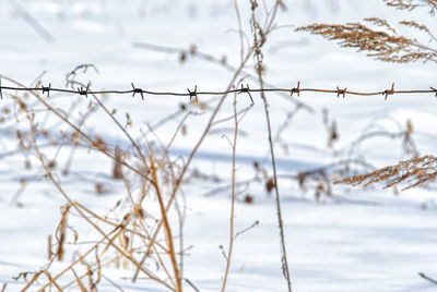 Close-up of snow covered fence against sky