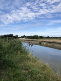 Scenic view of lake against sky