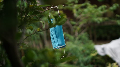 Close-up of clothes hanging on clothesline