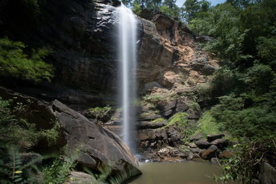Scenic view of waterfall in forest