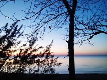 Silhouette bare tree by lake against sky during sunset