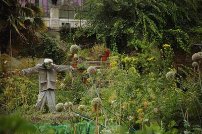 Rear view of man standing by plants