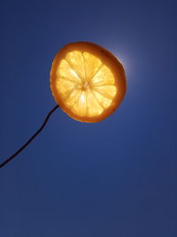 Low angle view of orange slice against blue background