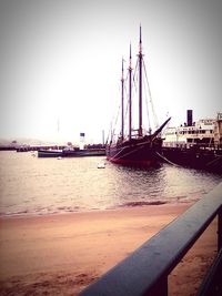 Sailboats in marina