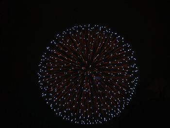 Low angle view of firework display over black background