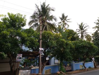 Low angle view of trees and house against sky