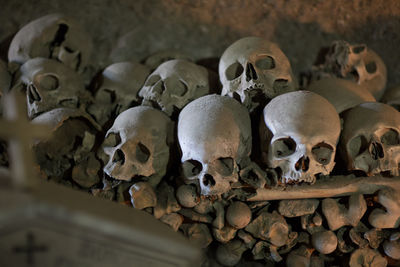 Close-up of human skulls and bones