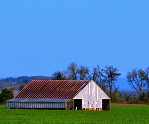 Oregon farm photography