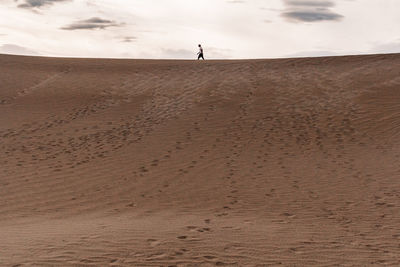 Rear view of man walking on beach