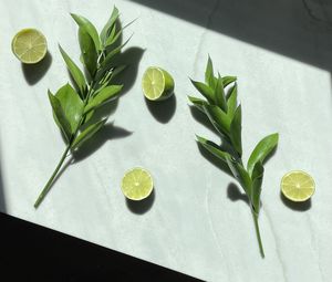 High angle view of fruits on table