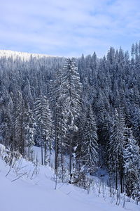 Scenic view of snow covered land against sky