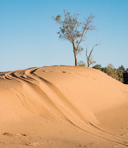 Scenic view of desert against clear sky