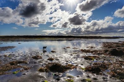 Scenic view of sea against cloudy sky