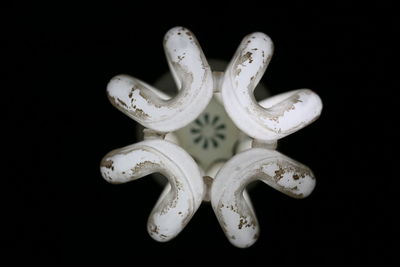 Close-up of energy efficient lightbulb against black background