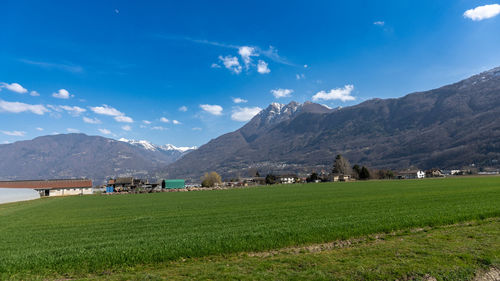 mountain