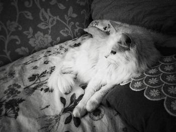 Close-up of young woman lying on bed