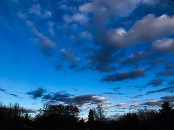 Low angle view of silhouette trees against blue sky