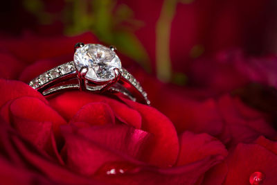 Close-up of ring on petals