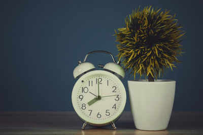 Close-up of potted plant on table against wall at home