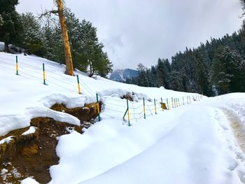 Snow covered land and trees against sky