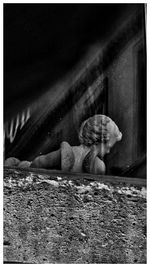 Close-up of snail on wall