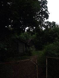 Trees growing by abandoned house in forest against sky at night