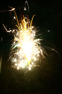 Firework display at night