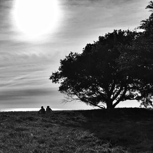 Scenic view of grassy field against sky