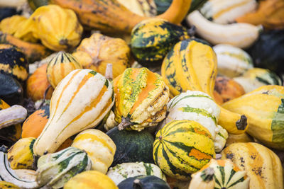 Full frame shot of pumpkins for sale at market stall