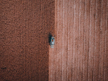 High angle view of agricultural field