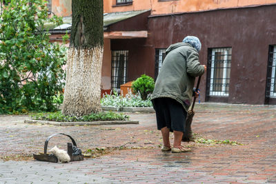 Rear view of woman with dog walking on street