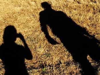 High angle view of silhouette shadow on field