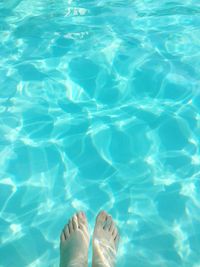 Low section of person in swimming pool