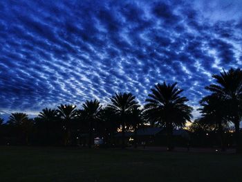 Silhouette palm trees against sky at night