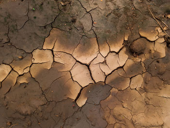 Full frame shot of cracked land