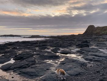 Scenic view of beach against sky during sunset