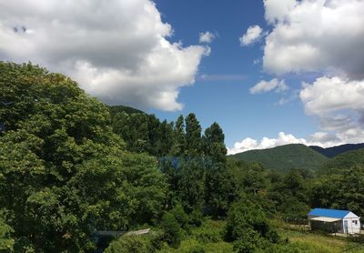 Scenic view of trees and mountains against sky