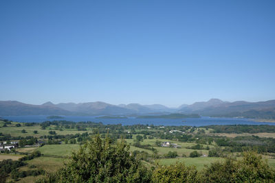 Scenic view of field against clear blue sky