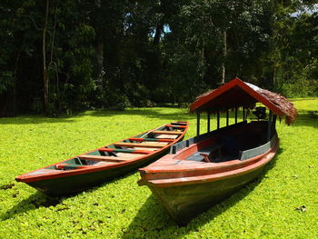 Boat moored on lake by trees in forest