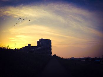 View of birds flying over built structure