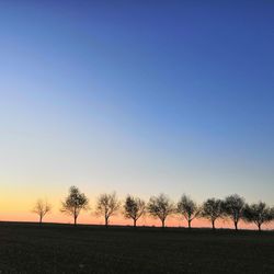 Silhouette trees on field against sky during sunset