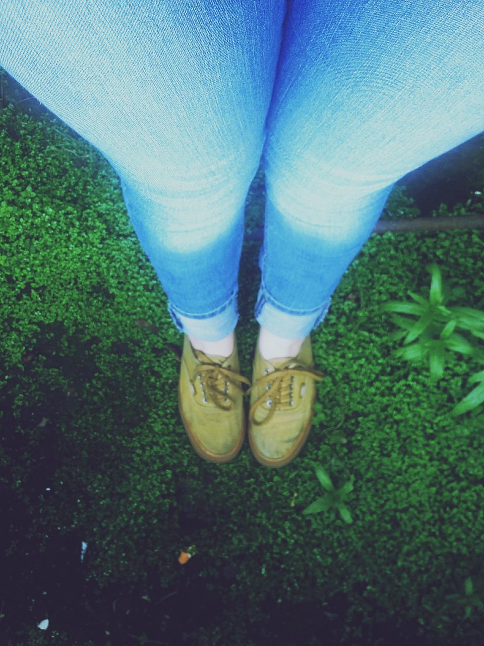 low section, person, shoe, grass, field, green color, plant, high angle view, growth, standing, nature, day, blue, grassy, outdoors, jeans, close-up