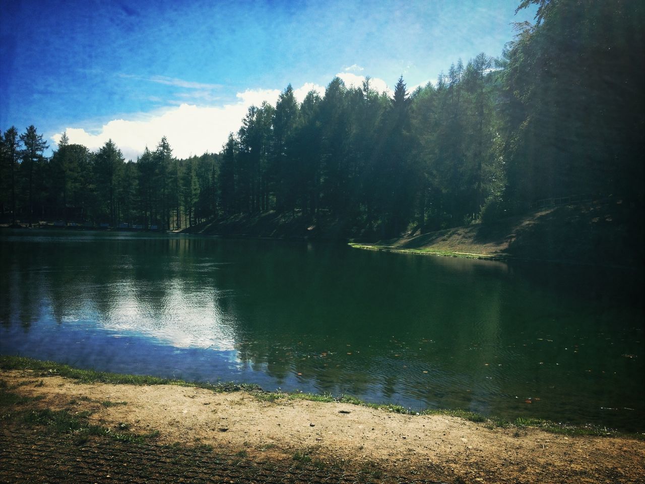 water, tree, tranquility, lake, tranquil scene, reflection, scenics, beauty in nature, sky, nature, lakeshore, river, idyllic, growth, forest, non-urban scene, day, outdoors, no people, calm