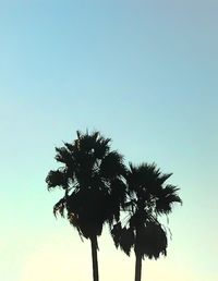 Low angle view of silhouette palm tree against clear sky